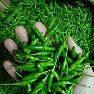 Ớt xiêm xanh (ớt hiểm) 500 gram