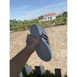 Giày thể thao nữ mũi sò hót (2020)
