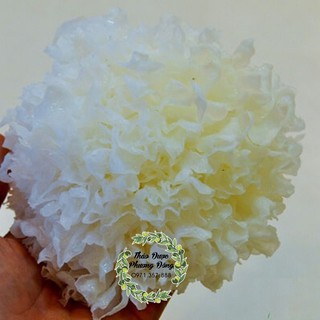 Nấm tuyết khô - 100gr
