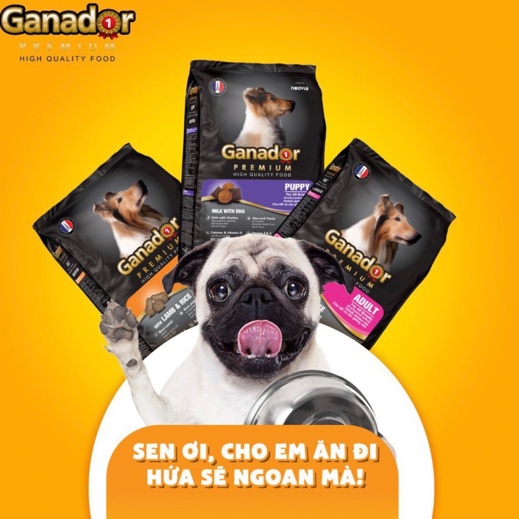 Thức Ăn Hạt GANADOR dinh dưỡng cho chó con và chó trưởng thành 400gram đủ vị