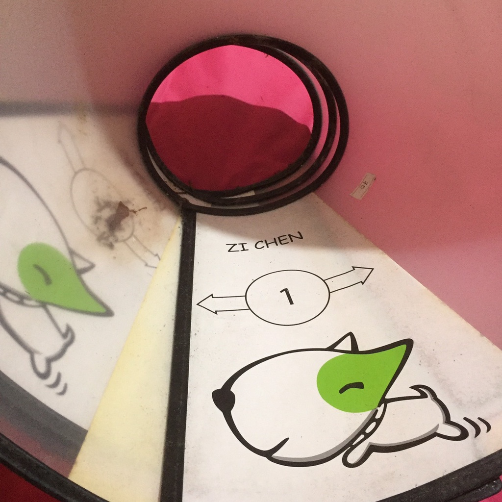 Vòng loa cổ chống liếm chó mèo thú cưng