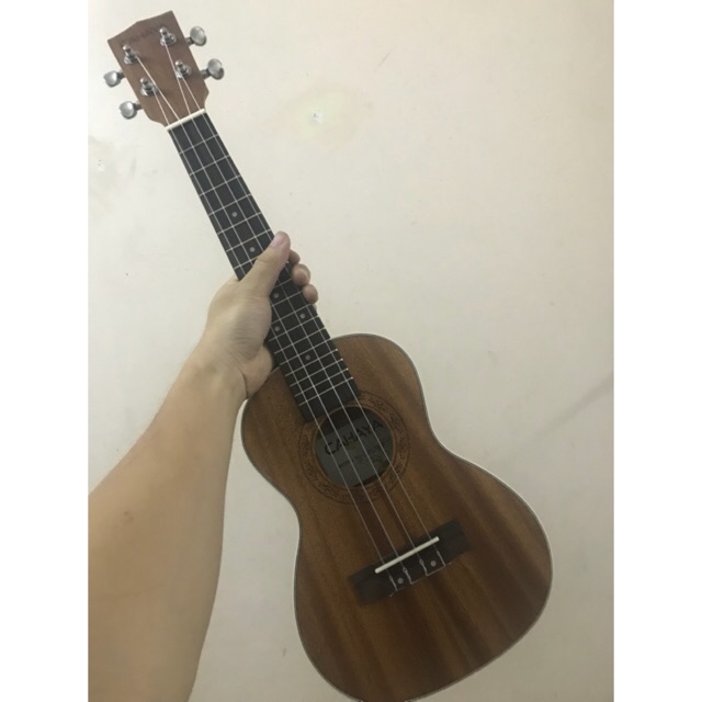 [ GIÁ TỐT ] ĐÀN UKULELE CONCERT HOẠ TIẾT CAHAYA