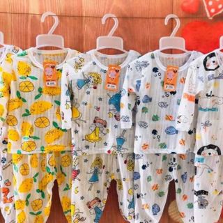 Combo 5 bộ Cotton giấy 5-15kg