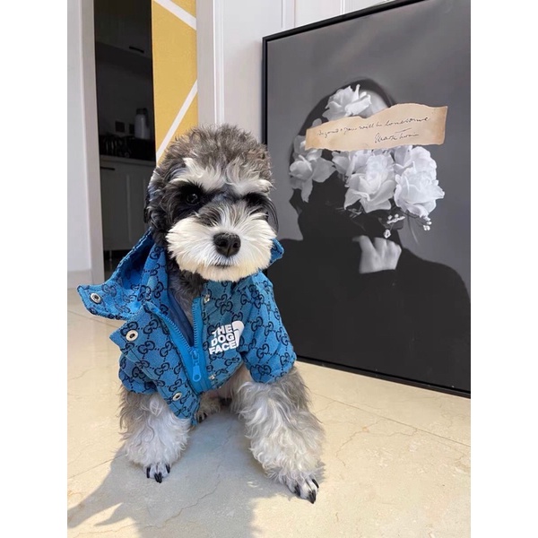 ÁO KHOÁC THE DOG FACE x GUCCl dành cho chó mèo