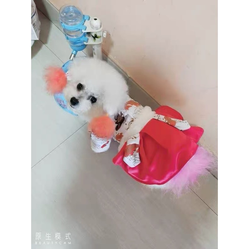 váy tết cho thú cưng vải gấm lót bông ấm áp