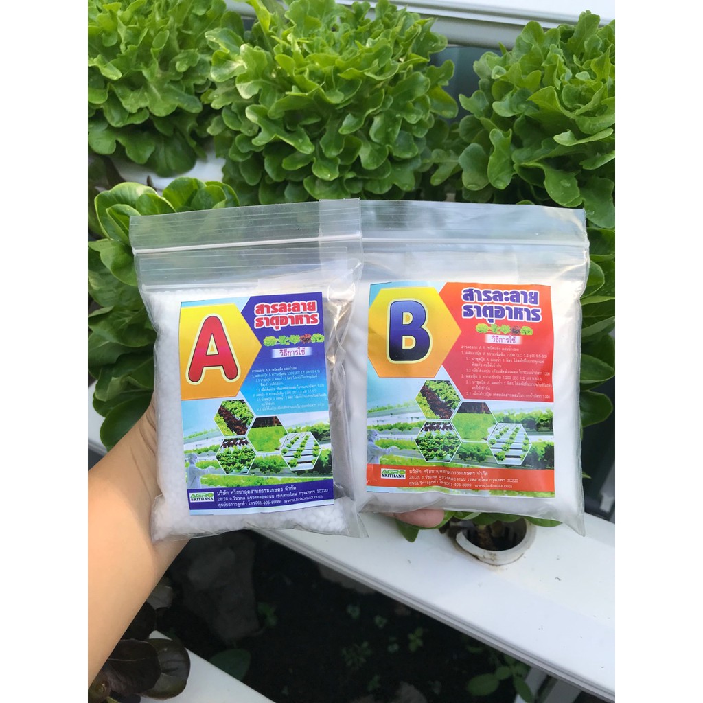 Dung Dịch Thủy Canh A+B Kokomax Thailand Dạng Bột Chuyên Cho Rau Củ Quả - 2 gói 400g