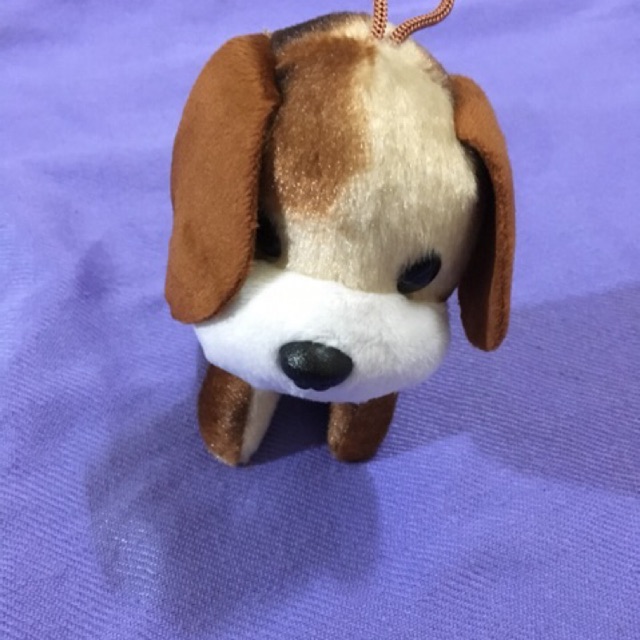 Thú nhồi bông hình chó, mèo.