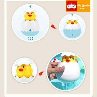 Trứng vịt tự nở khi tắm