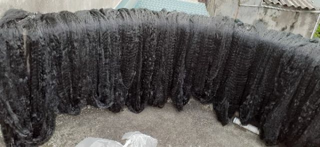 Lưới bẫy chim siêu rẻ, siêu nhậy dài 30m cao 5m mắt 5cm