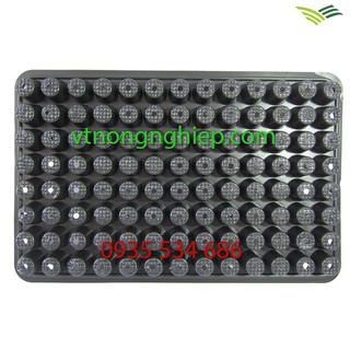 combo 5 khay nhựa ươm cây 104 lỗ