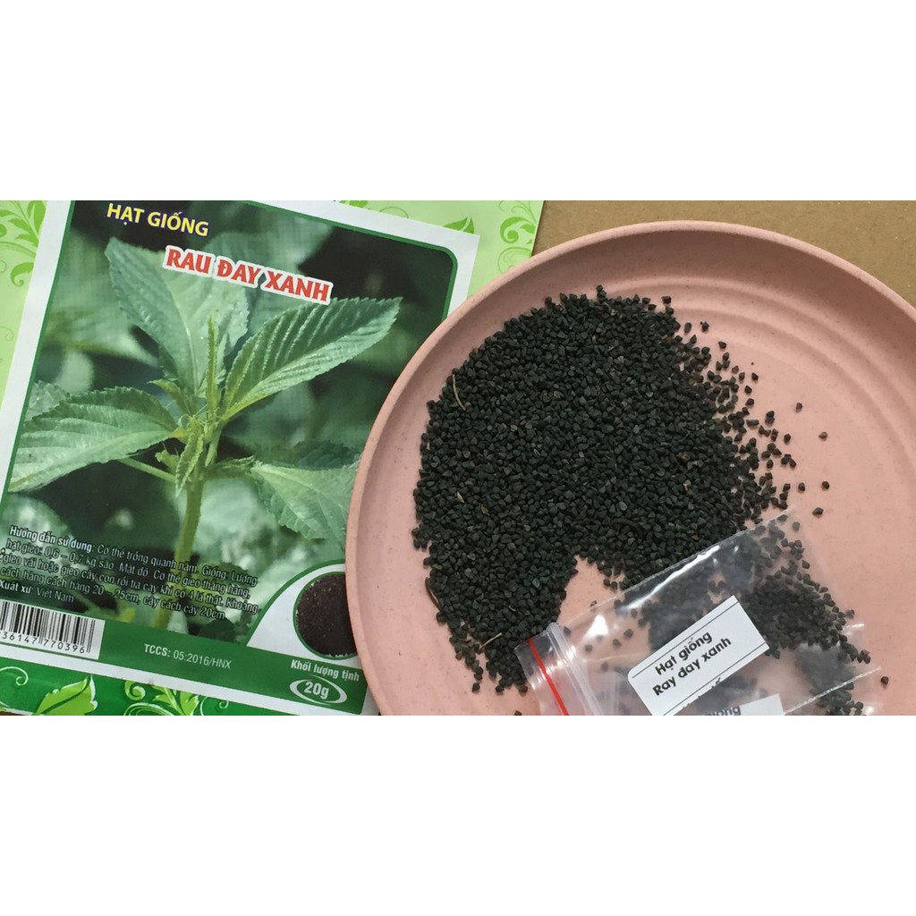 1Kg Hạt giống rau đay xanh (rau đay trắng)