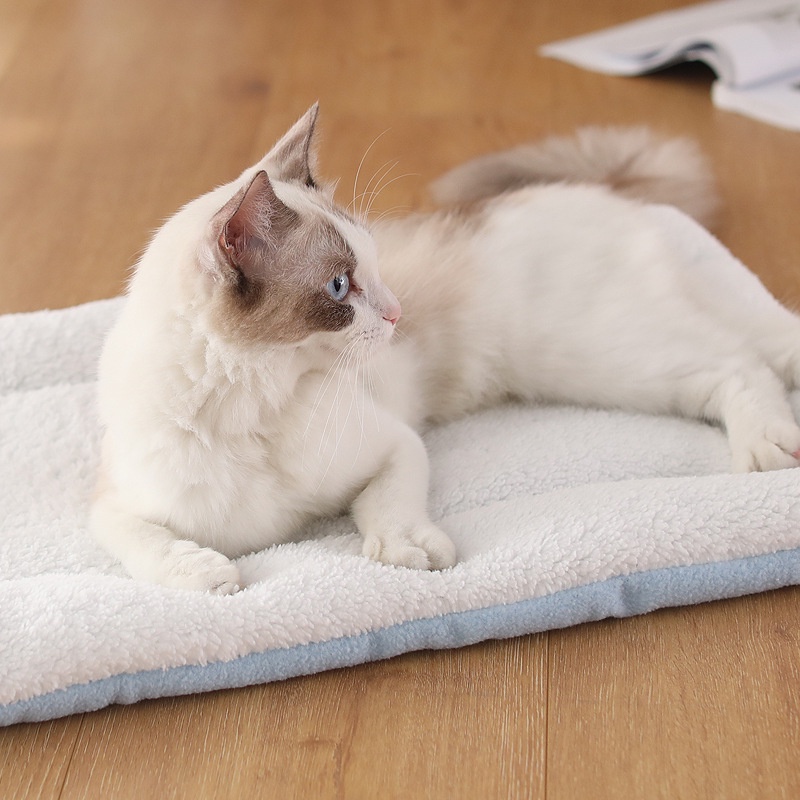 Thảm bông lót chuồng êm ái cho thú cưng, thảm nằm thú cưng mềm mịn - Laila Petshop