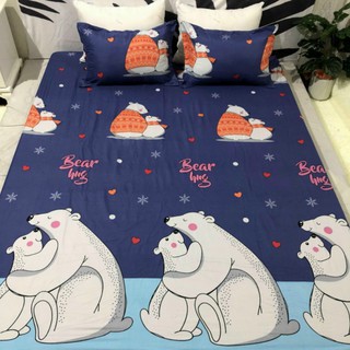 set ga gối poly cottong 3 món