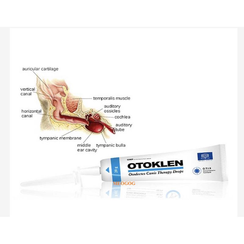 Đặc Trị ve rận tai chó mèo OTOKLEN alkin tuýp 20g