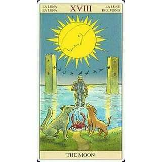 SMITH Bộ Bài Tarot Chất Lượng Cao
