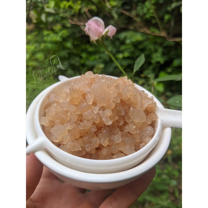 Nấm nước kefir (Water kefir, TIBICOS)