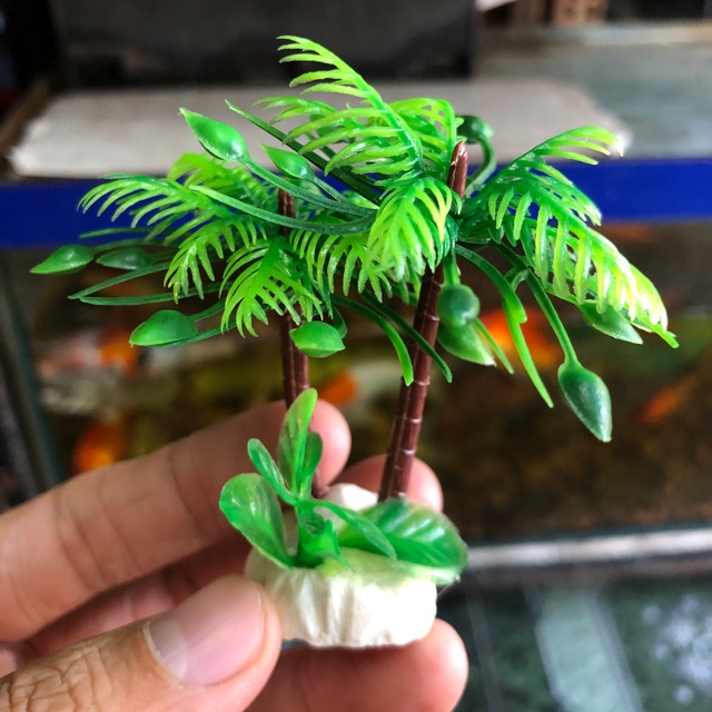 DỪA TRANG TRÍ HỒ CÁ NON BỘ CAO 7CM