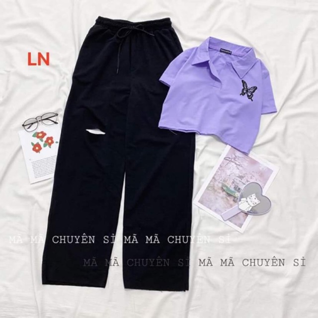 Set áo thun croptop polo cổ bẻ logo bướm + quần ống rộng rách gối