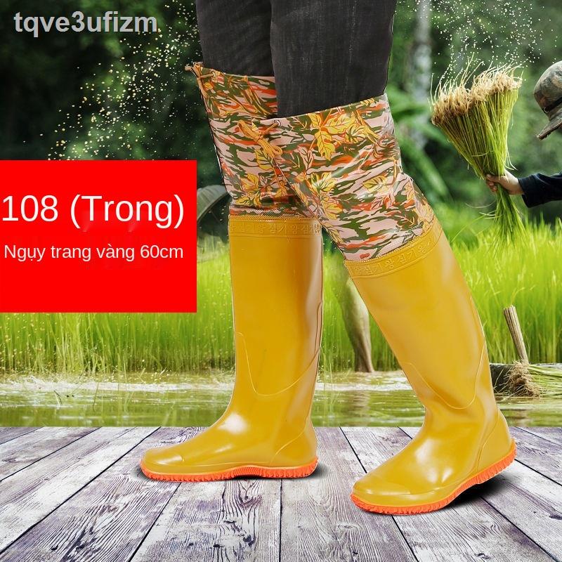 ☫ Tất nam nữ đế mềm đi cấy lúa, siêu cao qua đầu gối, ủng mưa kéo dài, mưa, quần chống nước, lội nước