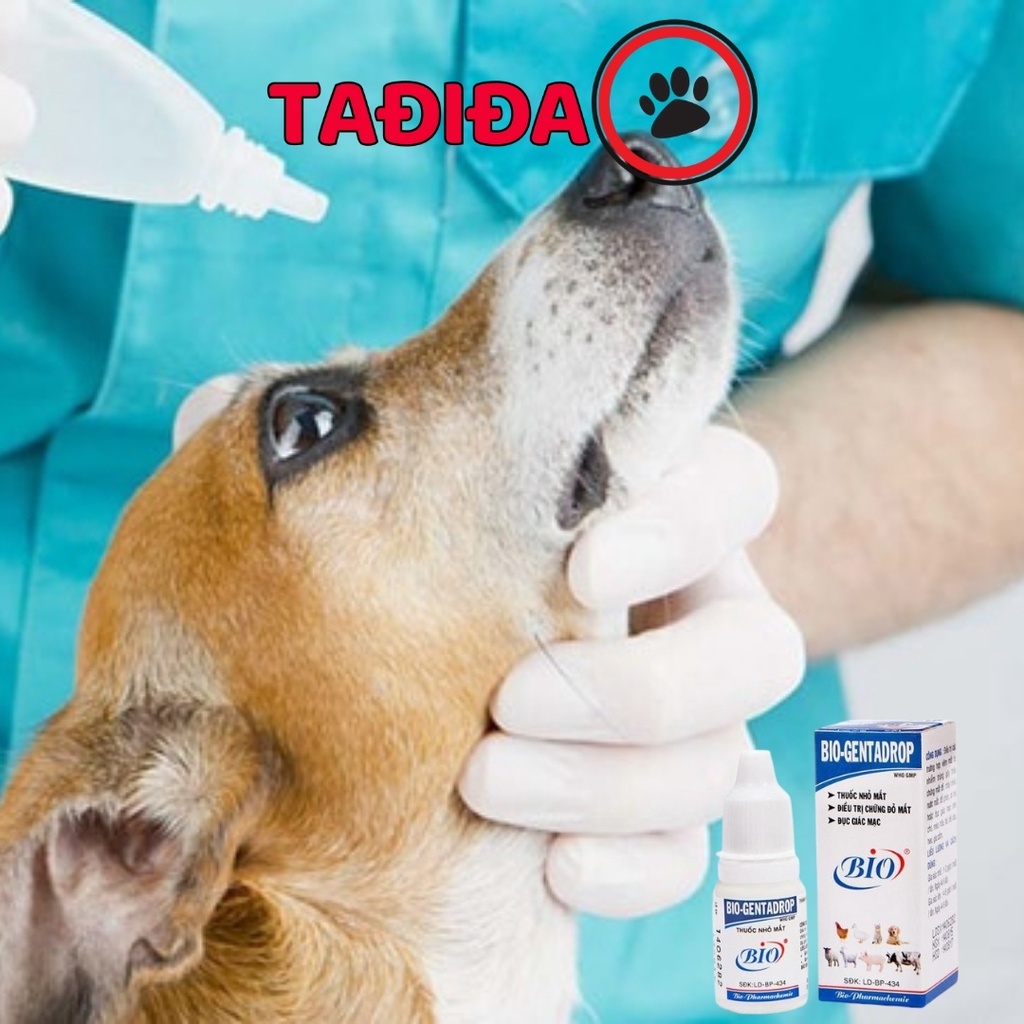 Chai Nước Nhỏ Mắt Bio-Gentadrop 10ml Cho Thú Cưng Chó Mèo , Dung dịch vệ sinh mắt Thú cưng - Tadida Pet