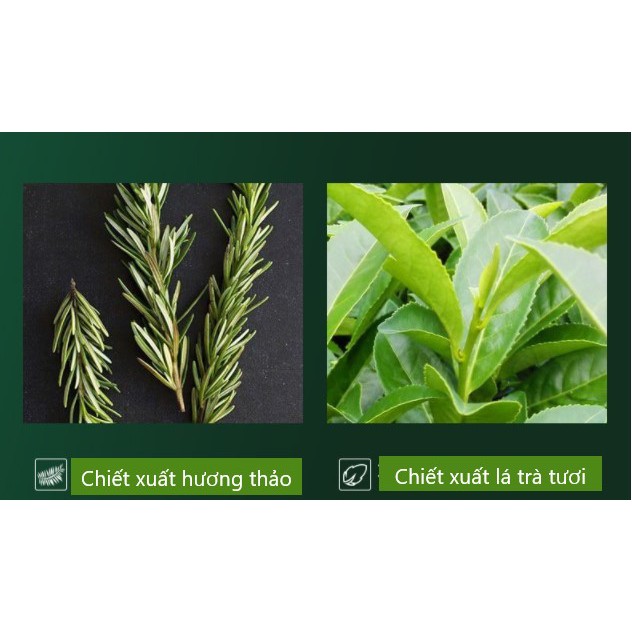Hộp 8 Mặt nạ đất sét rau má BIOAQUA kiềm dầu giảm mụn nội địa Trung 8*7.5g