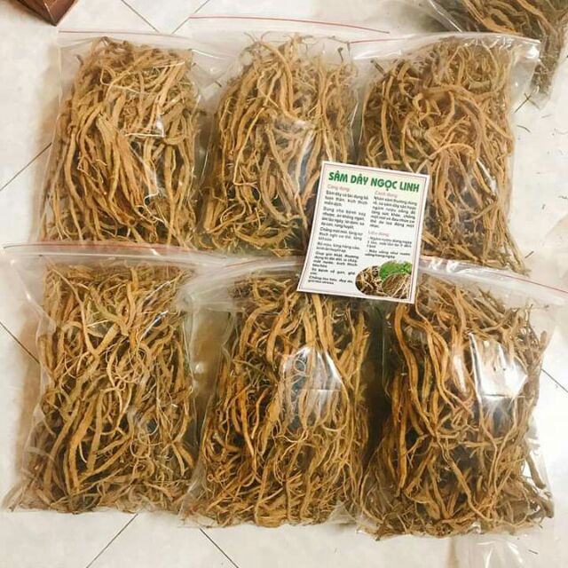 SÂM DÂY NGỌC LINH