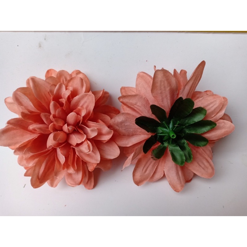 bông cúc thược dược