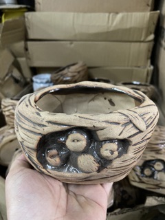 CHẬU CÂY TRỒNG TIỂU CẢNH