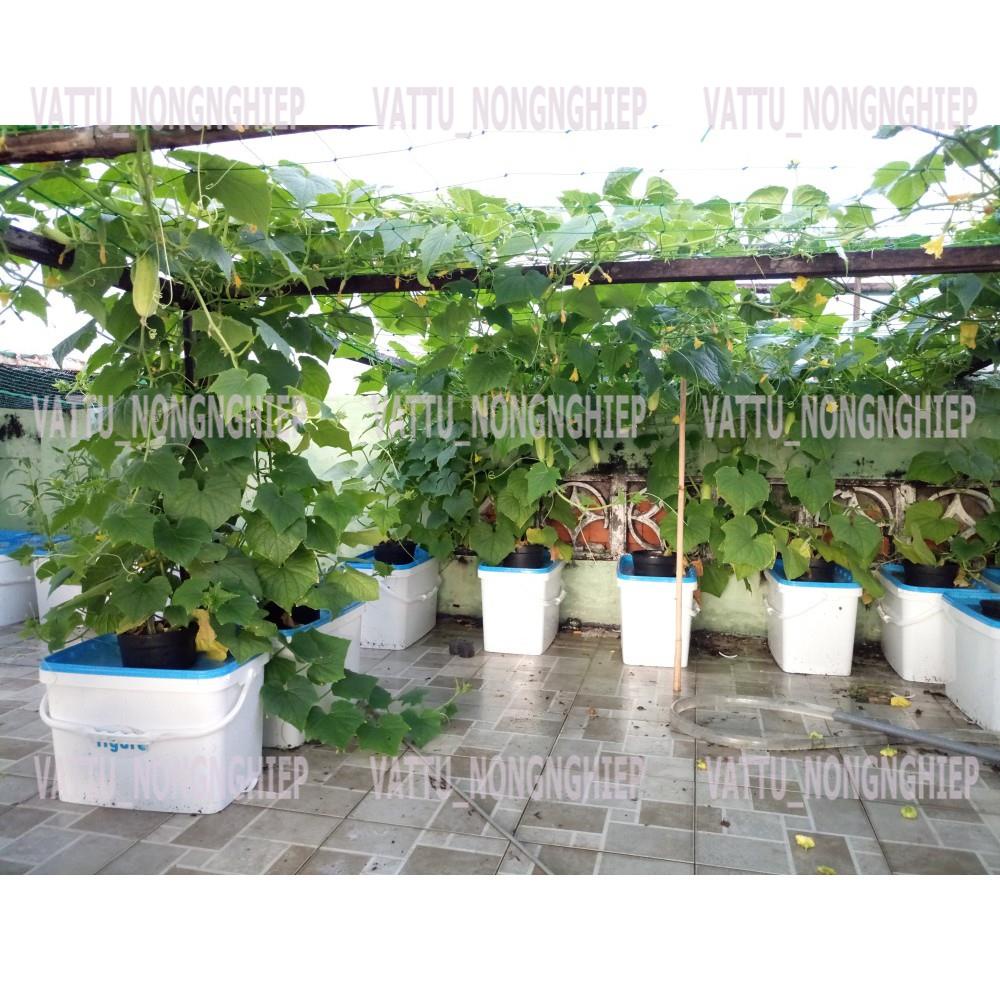 Bộ 2 thùng thủy canh trồng cây ăn trái ( trồng được tất cả các loại cây ăn trái, củ, quả)