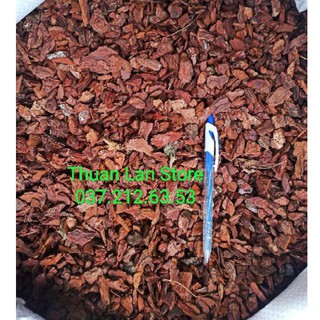 Vỏ Thông Dạng Hạt Ngô/Bắp 1kg