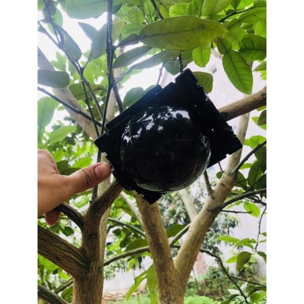 Bầu chiết cành cao cấp đủ kích thước, tăng khả năng ra rễ, chống úng cành chiết, tái sử dụng trên 5 năm