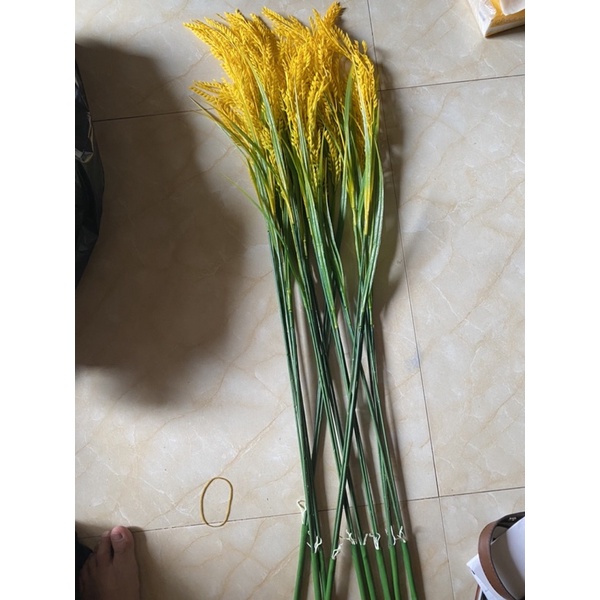 Cành Thóc 3 thân lớn trang trí Decor siêu đẹp. ảnh video thật ạ