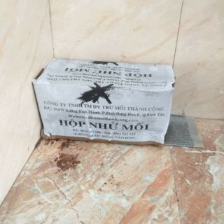 Hộp nhử mối hiệu quả