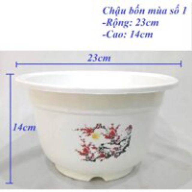 Bộ 10 chậu nhựa A280 trồng cây bốn mùa kt,: 23x14x16