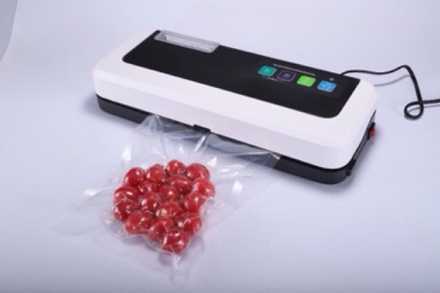 Máy hút chân không P290