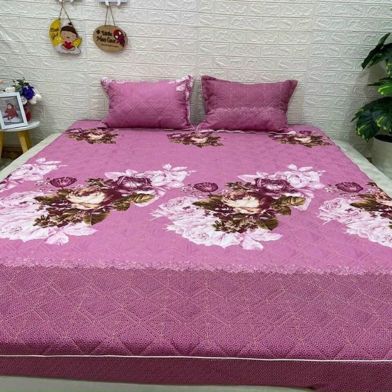 GA GỐI COTTONG POLY TRẦN BÔNG ĐỦ SIZE THÊM MẪU MỚI