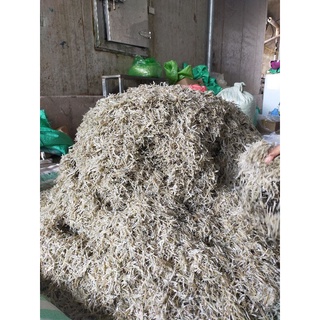 Cá Chỉ Vàng ,Cá mờm cơm