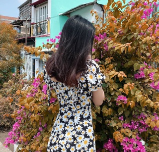 Đầm hoa cúc