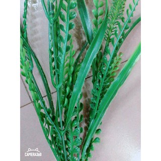 Nguyên liệu hoa pha lê