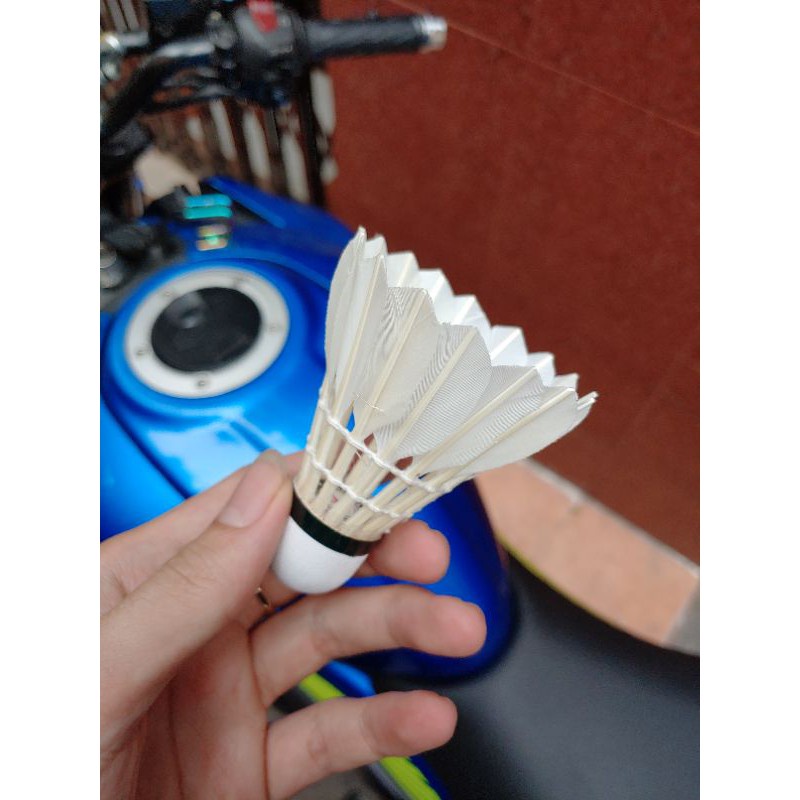 Cầu Vina Star XANH VÀNG chính hãng 100%