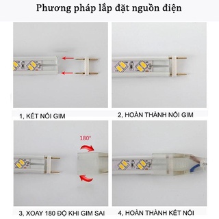 Đèn Led dây đôi 5730 siêu sáng 2 hàng ( Đơn giá / 1 mét /3 mét)