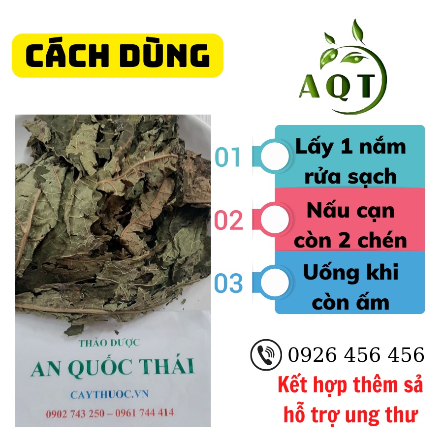 1Kg Lá Đu Đủ Đực Sấy Lạnh Xanh, Sạch Hỗ Trợ U Bướu, Tốt Cho Phổi