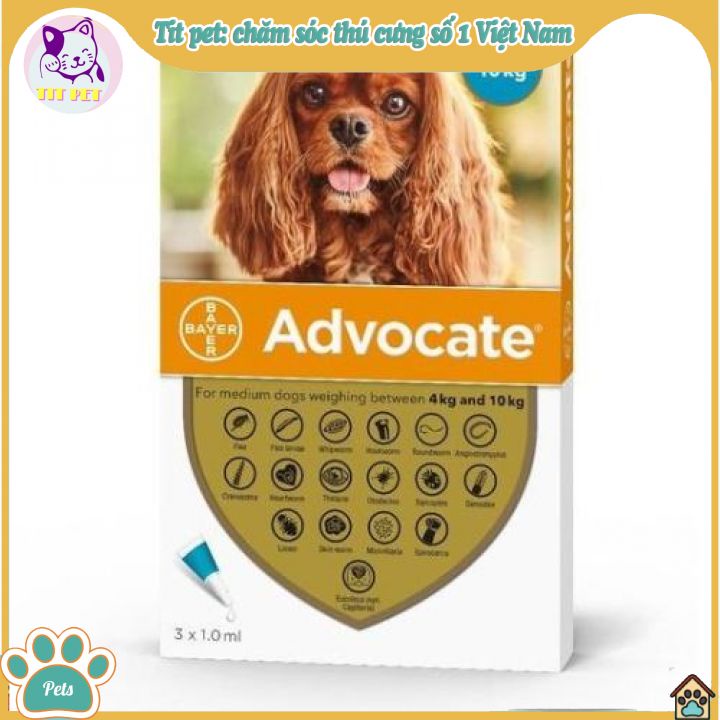 Nhỏ gáy trị ve rận chó chó, mèo Advocate