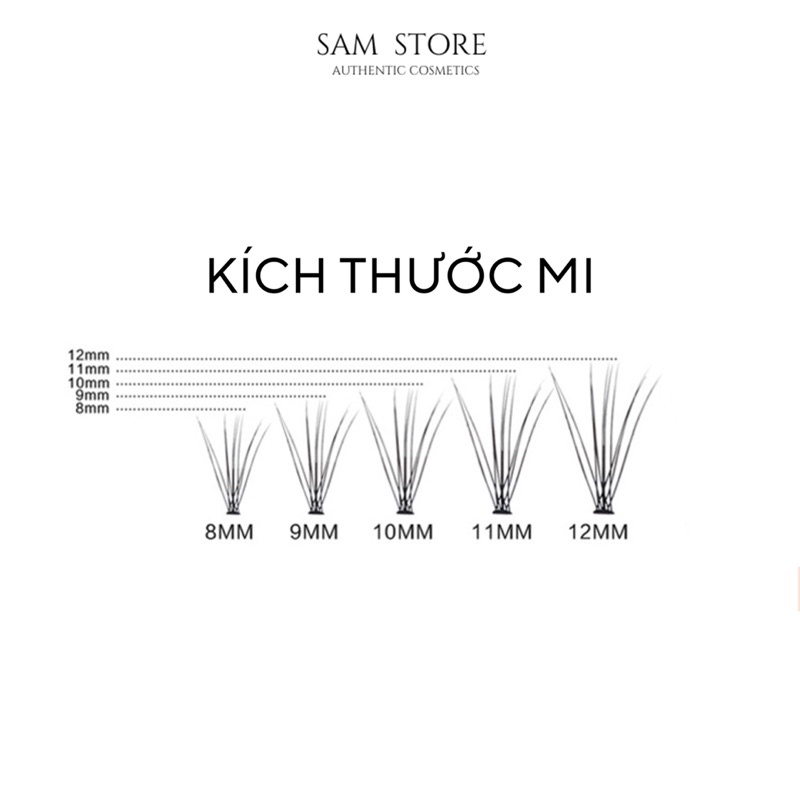Hộp mi giả tự nối hot Tik Tok dùng trong trang điểm chuyên nghiệp và cá nhân