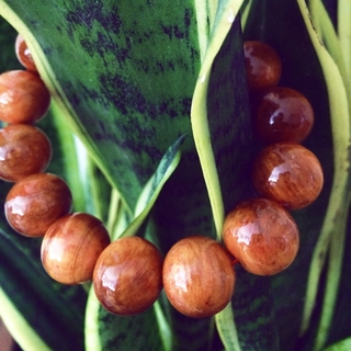 Vòng phong thủy - gỗ Huyết Long 16mm