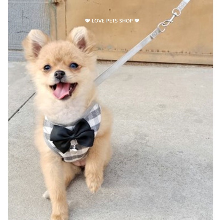 BỘ DÂY DẮT CHÓ MÈO KÈM YẾM SỌC CARO DỄ THƯƠNG - LOVE PETS SHOP