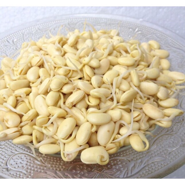 0,5 kg( 1 hộp) Mầm đậu nành nguyên xơ Tuệ Minh