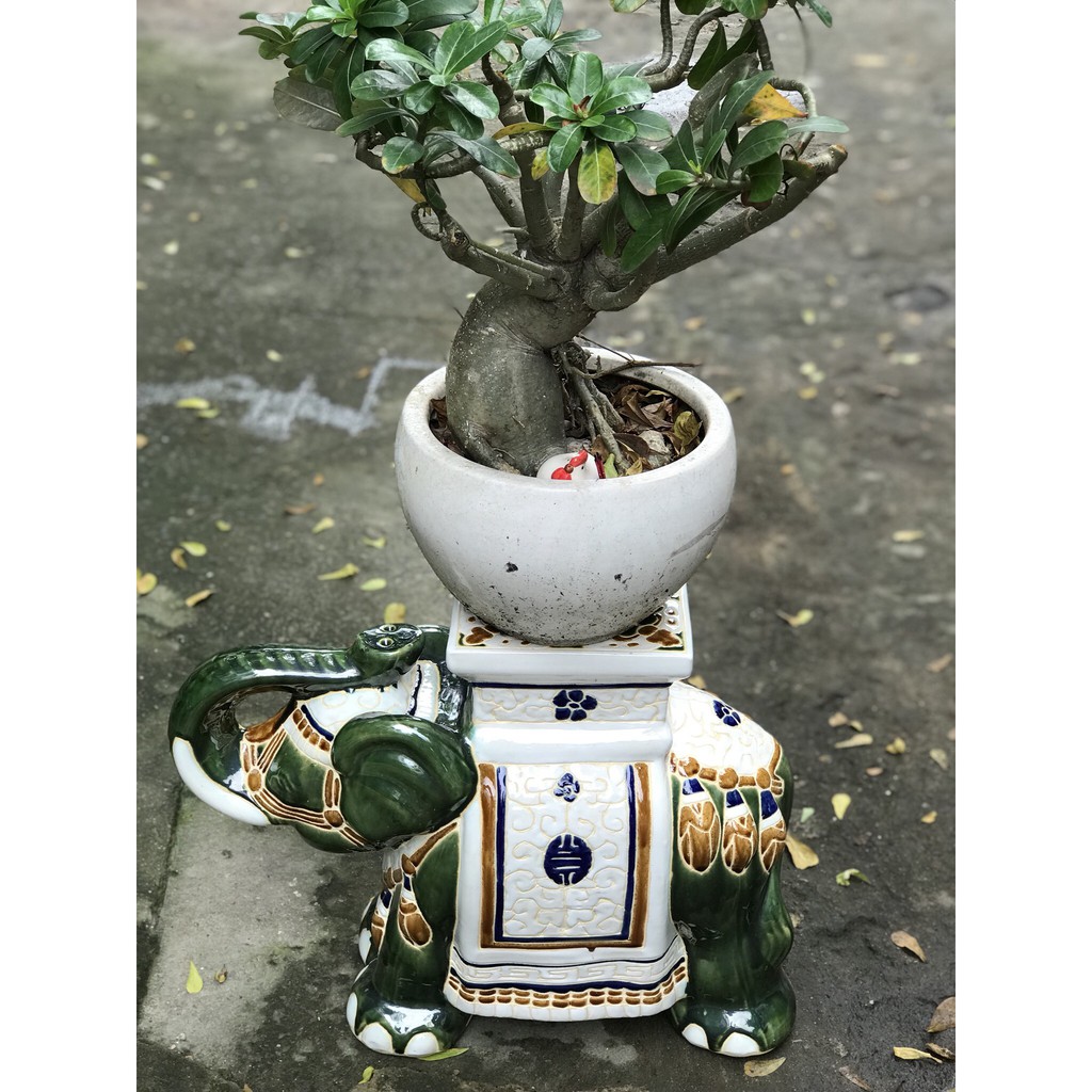 Gốm sứ quà tặng trang trí