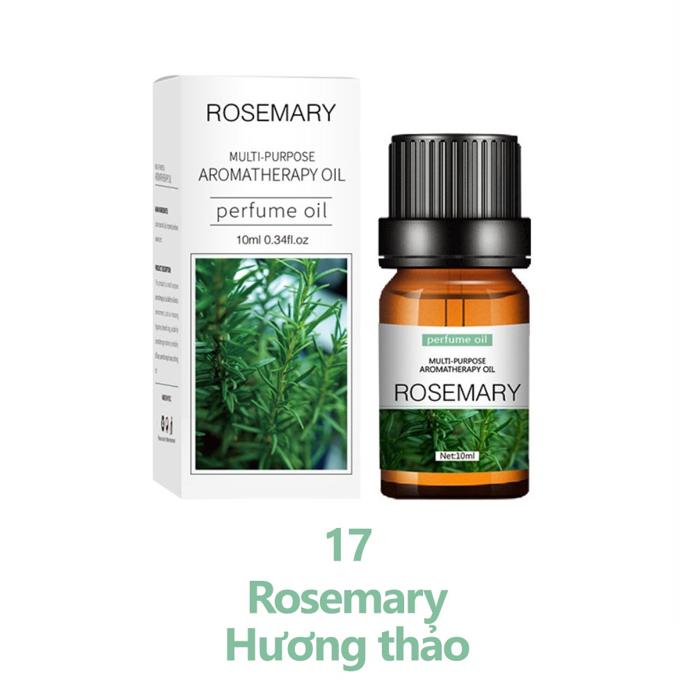 Tinh dầu thiên nhiên 10ml Gin Decor