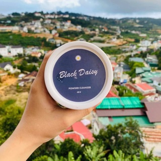 Black daisy